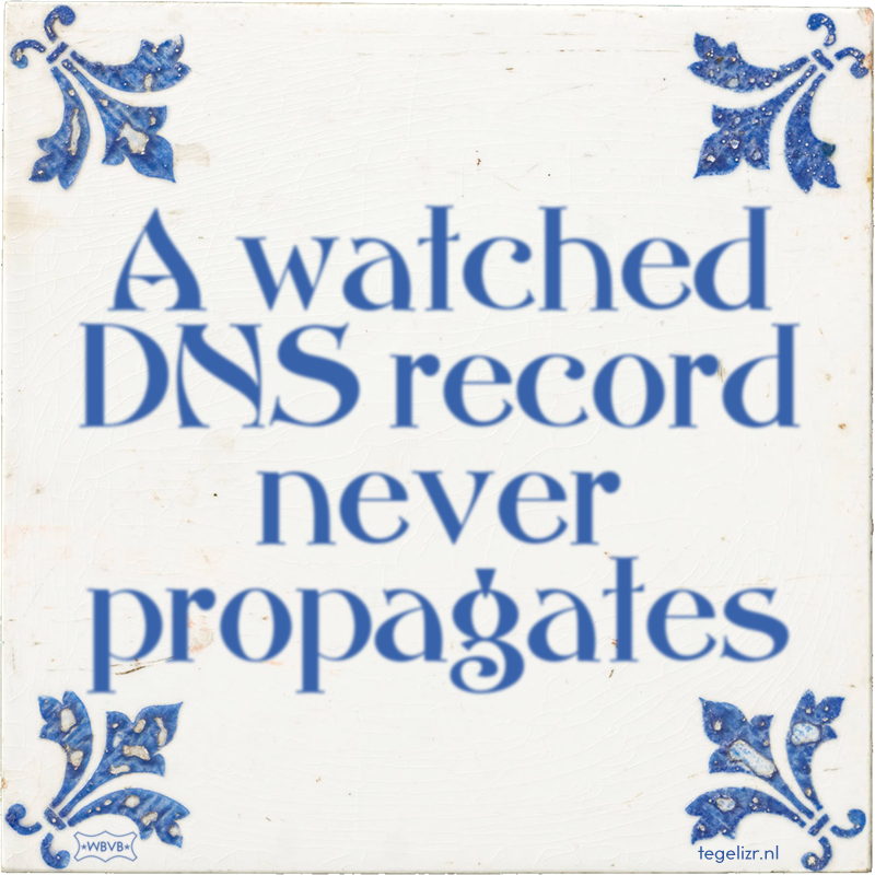 A watched DNS record never propagates - Online tegeltjes bakken