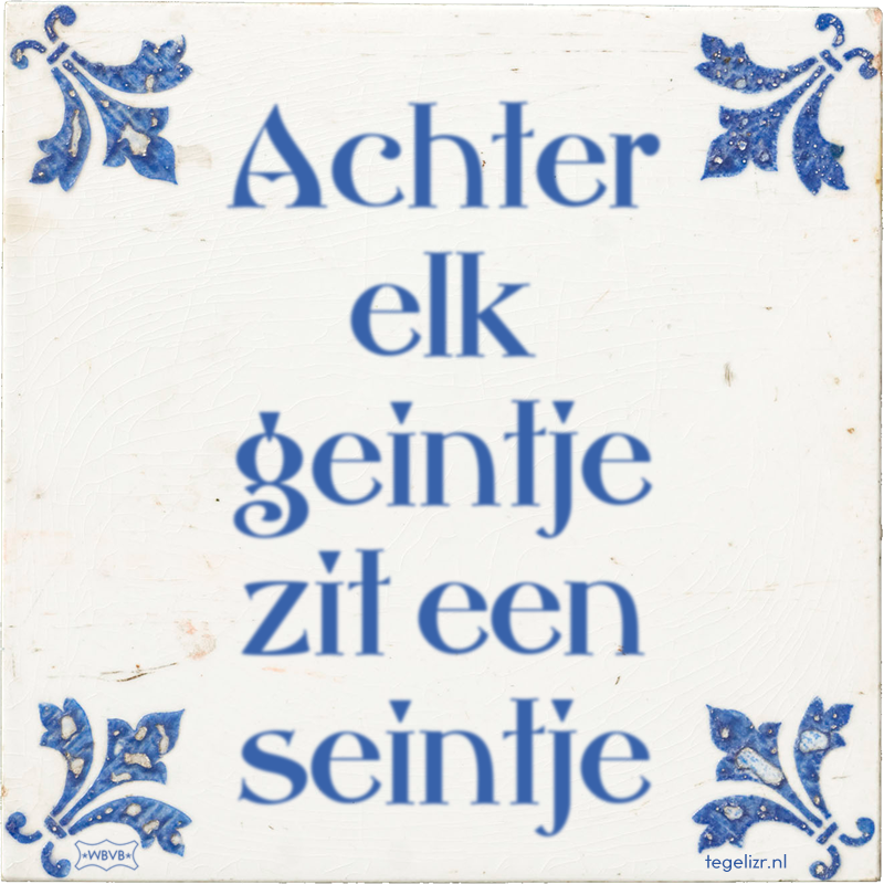 Achter elk geintje zit een seintje - Online tegeltjes bakken