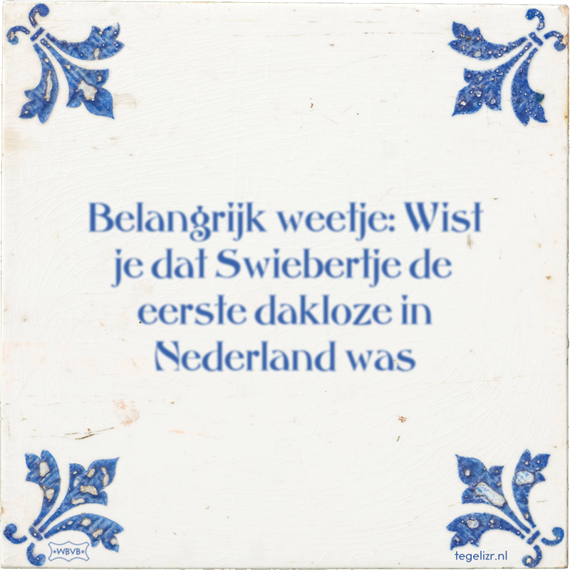 Belangrijk weetje: Wist je dat Swiebertje de eerste dakloze in Nederland was - Online tegeltjes bakken