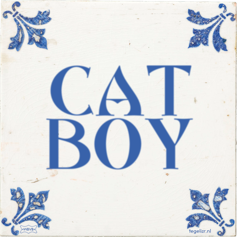 CAT BOY - Online tegeltjes bakken