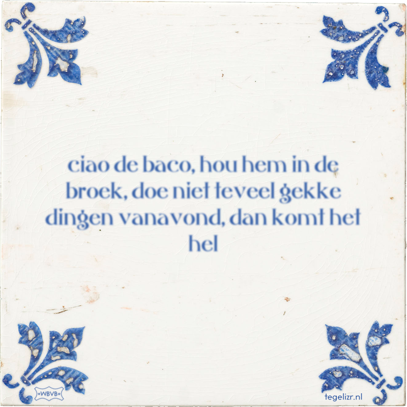 ciao de baco, hou hem in de broek, doe niet teveel gekke dingen vanavond, dan komt het hel - Online tegeltjes bakken
