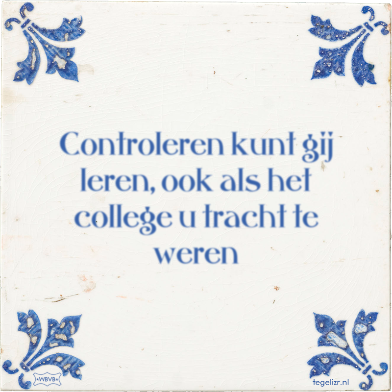 Controleren kunt gij leren, ook als het college u tracht te weren - Online tegeltjes bakken