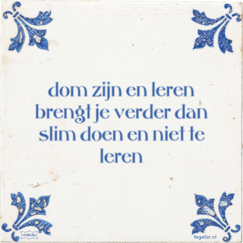 dom zijn en leren brengt je verder dan slim doen en niet te leren - Online tegeltjes bakken