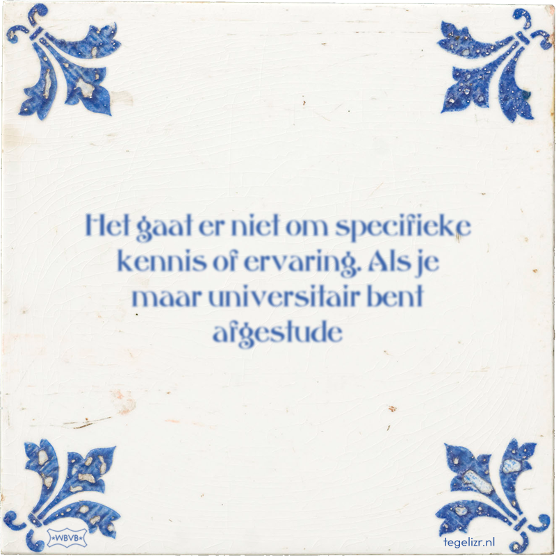 Het gaat er niet om specifieke kennis of ervaring. Als je maar universitair bent afgestude - Online tegeltjes bakken