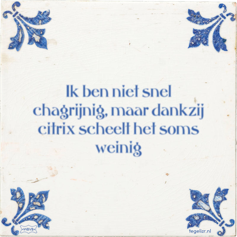 Ik ben niet snel chagrijnig, maar dankzij citrix scheelt het soms weinig - Online tegeltjes bakken