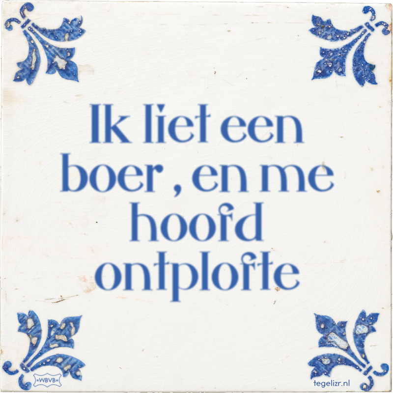 Ik liet een boer , en me hoofd ontplofte - Online tegeltjes bakken