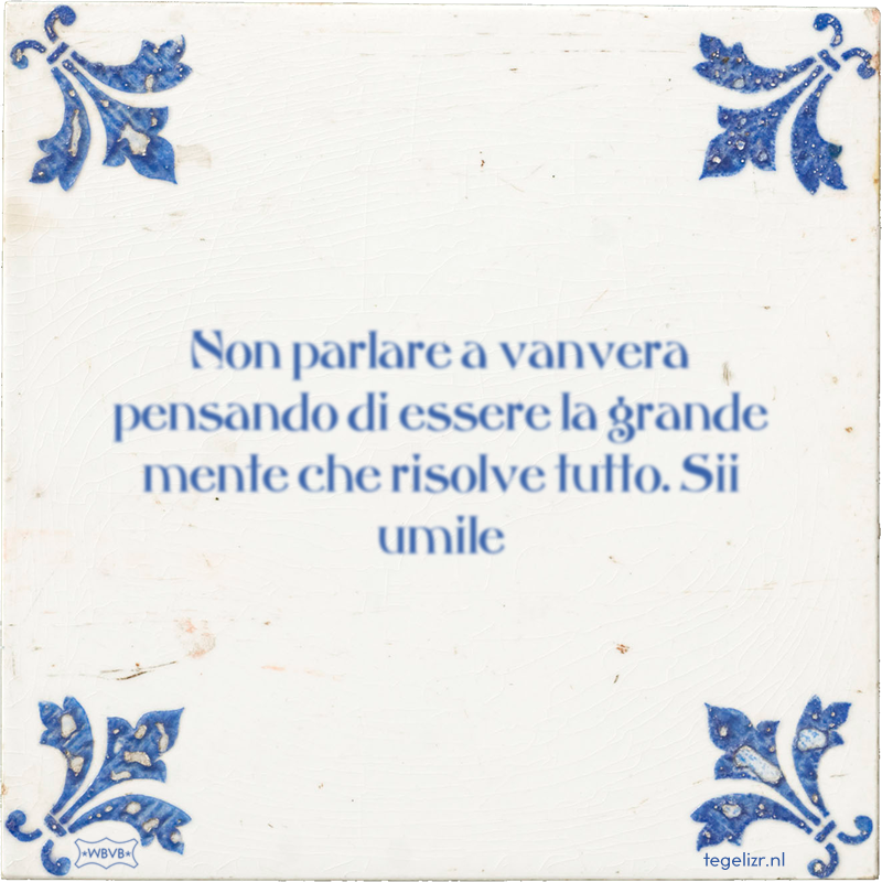 Non parlare a vanvera pensando di essere la grande mente che risolve tutto. Sii umile - Online tegeltjes bakken