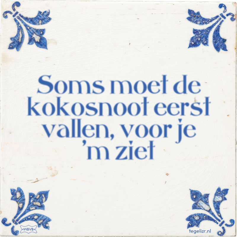 Soms moet de kokosnoot eerst vallen, voor je 'm ziet - Online tegeltjes bakken