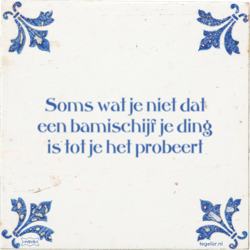 Soms wat je niet dat een bamischijf je ding is tot je het probeert - Online tegeltjes bakken