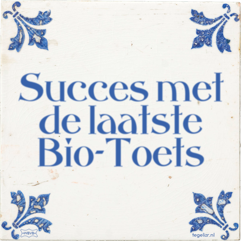 Succes met de laatste Bio-Toets - Online tegeltjes bakken
