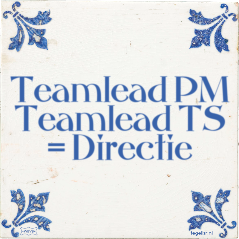 Teamlead PM Teamlead TS = Directie - Online tegeltjes bakken