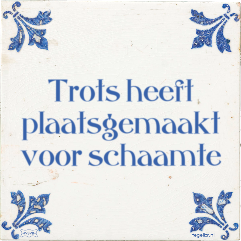 Trots heeft plaatsgemaakt voor schaamte - Online tegeltjes bakken
