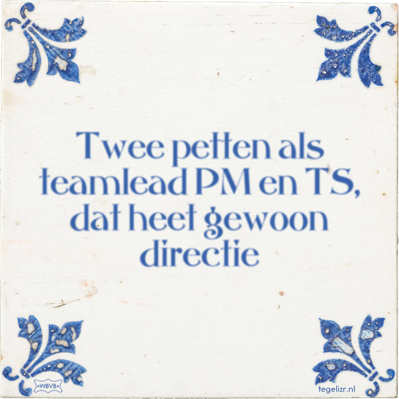 Twee petten als teamlead PM en TS, dat heet gewoon directie - Online tegeltjes bakken