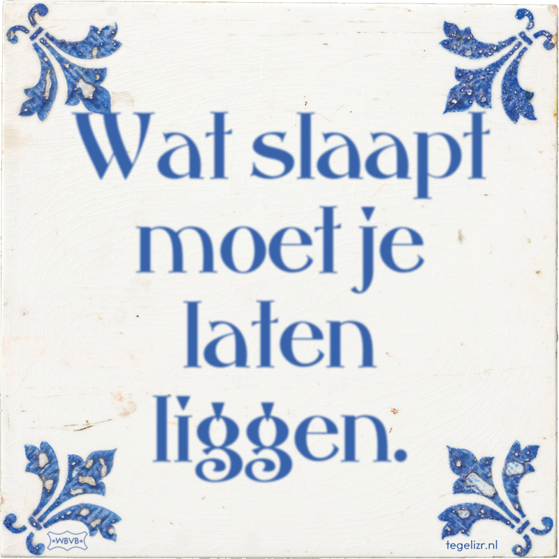 Wat slaapt moet je laten liggen. - Online tegeltjes bakken