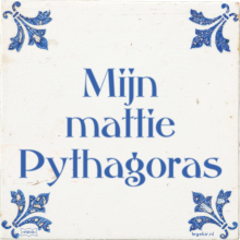 Mijn mattie Pythagoras - 7 keer bekeken