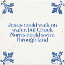 Jesus could walk on water, but Chuck Norris could swim through land - 45 keer bekeken