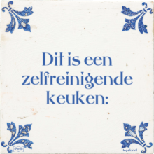 Dit is een zelfreinigende keuken: - 6 keer bekeken