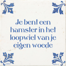 Je bent een hamster in het loopwiel van je eigen woede - 17 keer bekeken